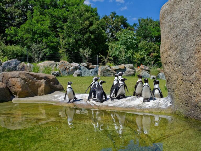 This image does not have a description but we are working on it.